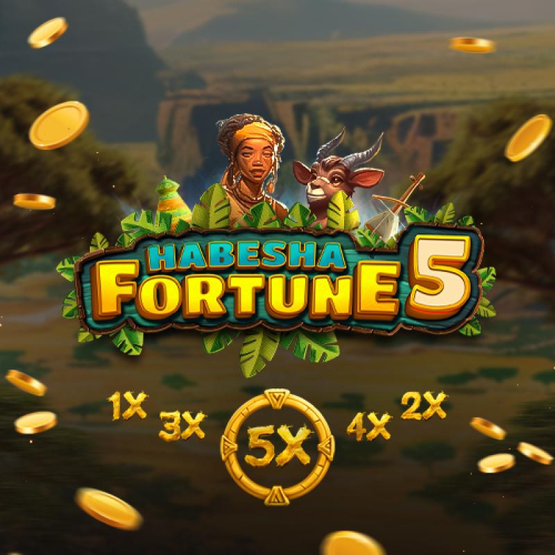 Habesha Fortune 5